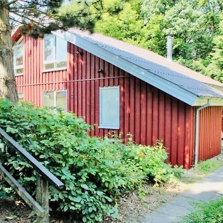 Komfort-Ferienhaus - Extertal Ferienpark - Entspannung, Natur, Wald, Familie #51 エクステリア 写真